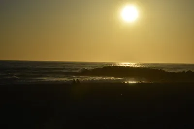 DSC_7291 (Large).JPG